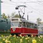Fotka nr 5 z 8