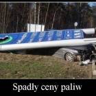 Fotka nr 2 z 7