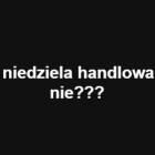 zdjęcie nr 3