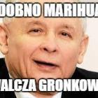 zdjęcie nr 8