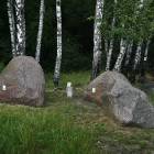 zdjęcie nr 8