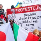 zdjęcie nr 51