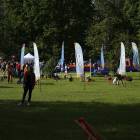 zdjęcie nr 17