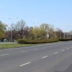 zdjęcie nr 31