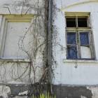 zdjęcie nr 22