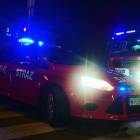 Fotka nr 5 z 7