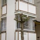 zdjęcie nr 8