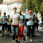 zdjęcie nr 255