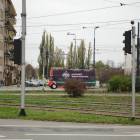 Fotka nr 1 z 264