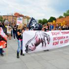 zdjęcie nr 15