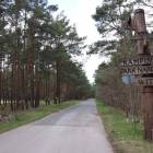 zdjęcie nr 16