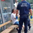 Fotka nr 1 z 3