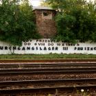 zdjęcie nr 20