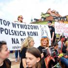 zdjęcie nr 41