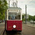 zdjęcie nr 8