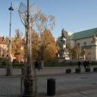 zdjęcie nr 12