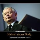 zdjęcie nr 8