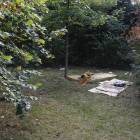 Fotka nr 2 z 5