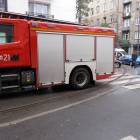 Fotka nr 3 z 10