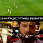 zdjęcie nr 24