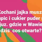 zdjęcie nr 5