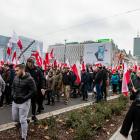 zdjęcie nr 12