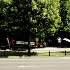 zdjęcie nr 104