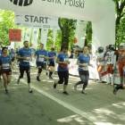 zdjęcie nr 31
