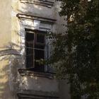 Fotka nr 5 z 7