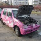 zdjęcie nr 13
