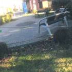 Fotka nr 1 z 11
