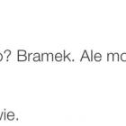 zdjęcie nr 46