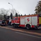 Fotka nr 2 z 11
