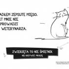 Fotka nr 2 z 3