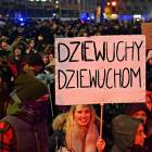 zdjęcie nr 12