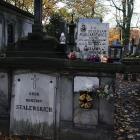 zdjęcie nr 7