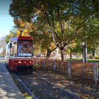 zdjęcie nr 13