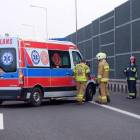 Fotka nr 3 z 11