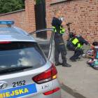 Fotka nr 2 z 3