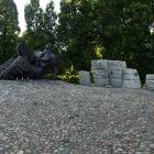 zdjęcie nr 13