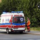 Fotka nr 5 z 8
