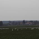 zdjęcie nr 8