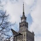 zdjęcie nr 21