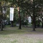 Fotka nr 3 z 11
