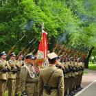 zdjęcie nr 49