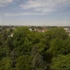 zdjęcie nr 81