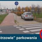 Fotka nr 1 z 5
