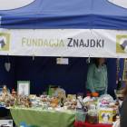 zdjęcie nr 30