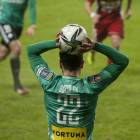 zdjęcie nr 12