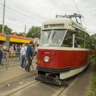 Fotka nr 4 z 57